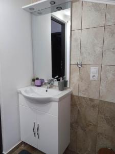 La salle de bains est pourvue d'un lavabo et d'une douche. dans l'établissement Collot Residence Sibiu 2, à Turnişor