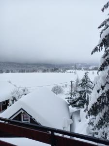 Apartman Suhi vrh v zime