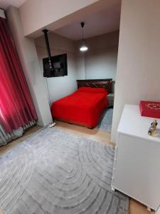 a bedroom with a red bed and a large rug at Tarabya Family Suit Acibadem Hospital in Istanbul