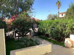 Vườn quanh Villa del Brigante, 200m from the beach, 80m², 2 bedrooms, 4-5 persons