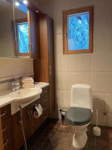 ein Bad mit einem WC, einem Waschbecken und einem Fenster in der Unterkunft Villa Joutsen in Hollola