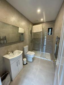 La salle de bains est pourvue de toilettes, d'un lavabo et d'une douche. dans l'établissement Kilpatrick Glebe, à Crossabeg