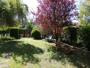 a garden with a tree with red leaves on it at SeeYou Apartman Agárd in Agárd