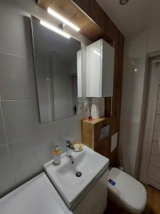 W łazience znajduje się umywalka, toaleta i lustro. w obiekcie Apartament w Centrum w Jastrzębiu Zdroju