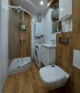 W łazience znajduje się prysznic, toaleta i umywalka. w obiekcie Apartament w Centrum w Jastrzębiu Zdroju