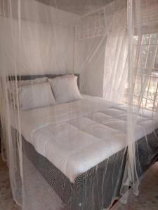 1 cama con mosquitera en el dormitorio en BN Private Beach en Jinja