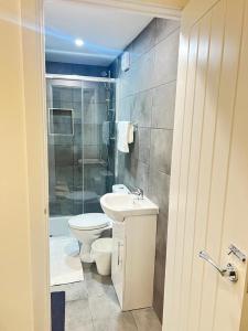 a bathroom with a sink and a toilet and a shower at AYOS in Dublin