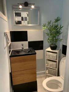 a small bathroom with a sink and a toilet at Gîte de Lafayette in Pionsat