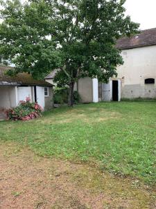 a yard with a house and a tree and a building at Gîte de Lafayette in Pionsat