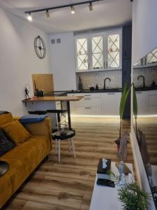 Kuchnia lub aneks kuchenny w obiekcie Apartament Wyspiański