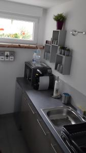 um balcão de cozinha com um lavatório e um micro-ondas em Gite "Lili" em Lapoutroie