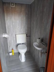 een kleine badkamer met een toilet en een wastafel bij Huisje Mooijweer in Putten