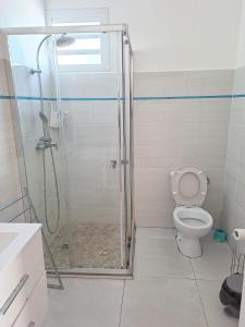 Ванна кімната в Maison d'une chambre avec piscine partagee terrasse amenagee et wifi a Petit Bourg