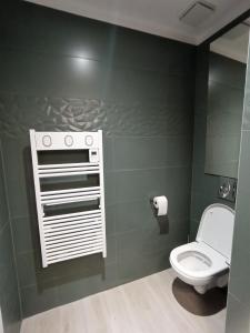 een badkamer met een toilet en een groene muur bij Le Cocon du Lisey, le joyau du vieux Cauterets in Cauterets