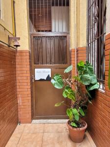 里约热内卢Santo Mirante Hostel的相册照片