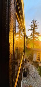 ein Fenster eines Hauses mit einem Baum im Hintergrund in der Unterkunft Contemporary Dublin Suite in Lispapple Cross Roads