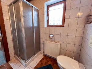 ein Bad mit einer Dusche und einem WC in der Unterkunft Apartment App-1 by Interhome in Hollersbach im Pinzgau