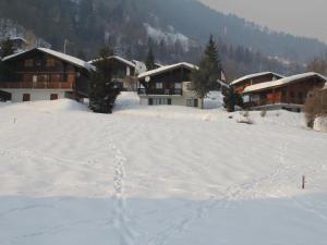 een met sneeuw bedekt veld met gebouwen op de achtergrond bij Apartment Adele by Interhome in Fiesch