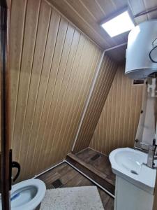 a small bathroom with a toilet and a sink at Căbănuța La Gălățanu in Vulcan