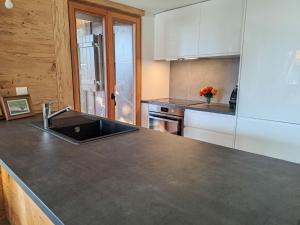 Kuchyň nebo kuchyňský kout v ubytování Apartment Sernisa Rez by Interhome