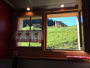 Fotografie z fotogalerie ubytování Chalet Eigerhome – The Cottage by Interhome v destinaci Grindelwald