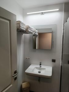 a bathroom with a sink and a mirror at Nimary Logies in Heusden - Zolder