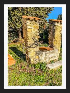 Fotografia z galérie ubytovania Lou Jas, maison de charme, à 1 km de la mer v destinácii Cassis
