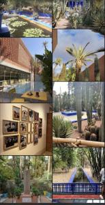 een collage van foto's van planten en een gebouw bij Luxueux appartement Marrakech au cœur de l hivernage in Marrakesh