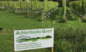 Achterhoeks Goed, Minicamping in Vragender外面的花园