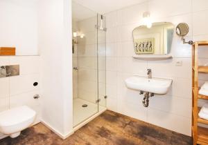 ein Badezimmer mit Dusche und Waschbecken in der Unterkunft Vogelmann Suite in Pfronten