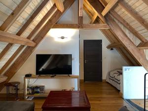 uma sala de estar com uma televisão de ecrã plano num sótão em La Grange d'Emmanuel, Marsous, 6-8 pers em Arrens-Marsous