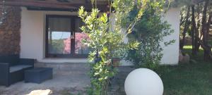 a house with a window and a plant at Domus Liscia di Vacca in Liscia di Vacca