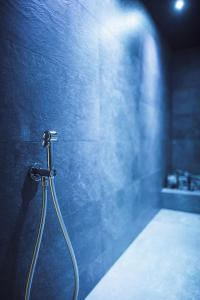 W łazience z niebieską ścianą znajduje się prysznic. w obiekcie ROUDA luxury retreat am Kronplatz w mieście Valdaora