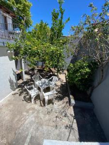 Zahrada ubytování Alojamiento Barrio Sur + 25 fotografií