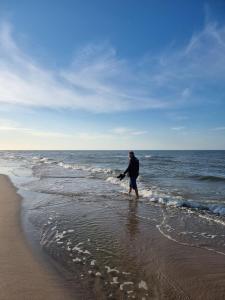 a man walking in the water on the beach at Domimat-Lila in Dębki