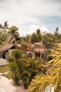 un giardino tropicale con palme e piante di La Isla Bonita Gili Air a Gili Air