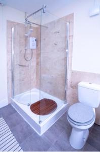 a bathroom with a shower and a toilet at Quaint house in a beautiful rural setting in Froghall