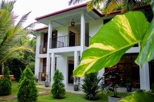 Zahrada ubytování Manike Lodge Habarana