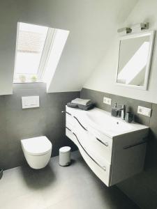a bathroom with a toilet and a sink and a mirror at Haus Dragl DZ EZ in Friedberg