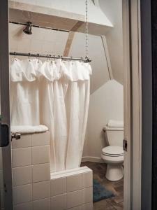 uma casa de banho com um WC e uma cortina de chuveiro em The Lofts at Myrtle em El Paso