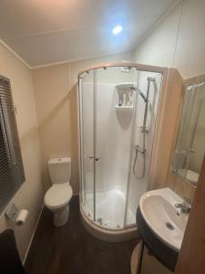 a bathroom with a shower and a toilet and a sink at Beautiful 2-Bedroom Lodge with Spectacular Views in Hartlepool