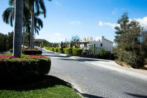 a cobblestone street with a house and palm trees at Miro Masia in Cabo San Lucas