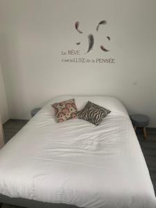 białe łóżko z dwoma poduszkami w obiekcie La mortagne w mieście Rambervillers +1 zdjęcie