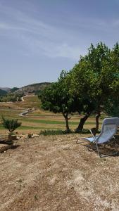 Príroda v okolí of the bed and breakfast