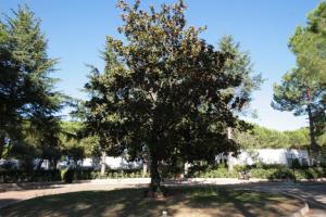 Giardino di Hotel Mira