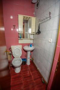 a pink bathroom with a toilet and a sink at Hotel Hiking in Donja Ljuža