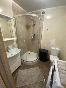 a bathroom with a shower and a sink and a toilet at Apartament Vasilya Porika 48 Street Vinnitsya in Vinnytsya