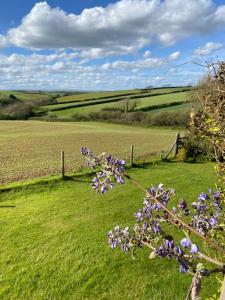 a bush with purple flowers in a green field at Secluded Escape near Salcombe - Newhouse Barn. in Malborough
