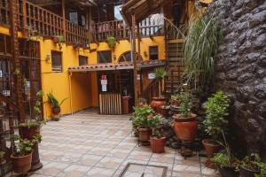 a courtyard with a bunch of potted plants at House Cusco in Cusco