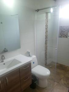 a bathroom with a toilet and a sink and a shower at Acogedora casa campestre, con parqueadero privado in Nimaima